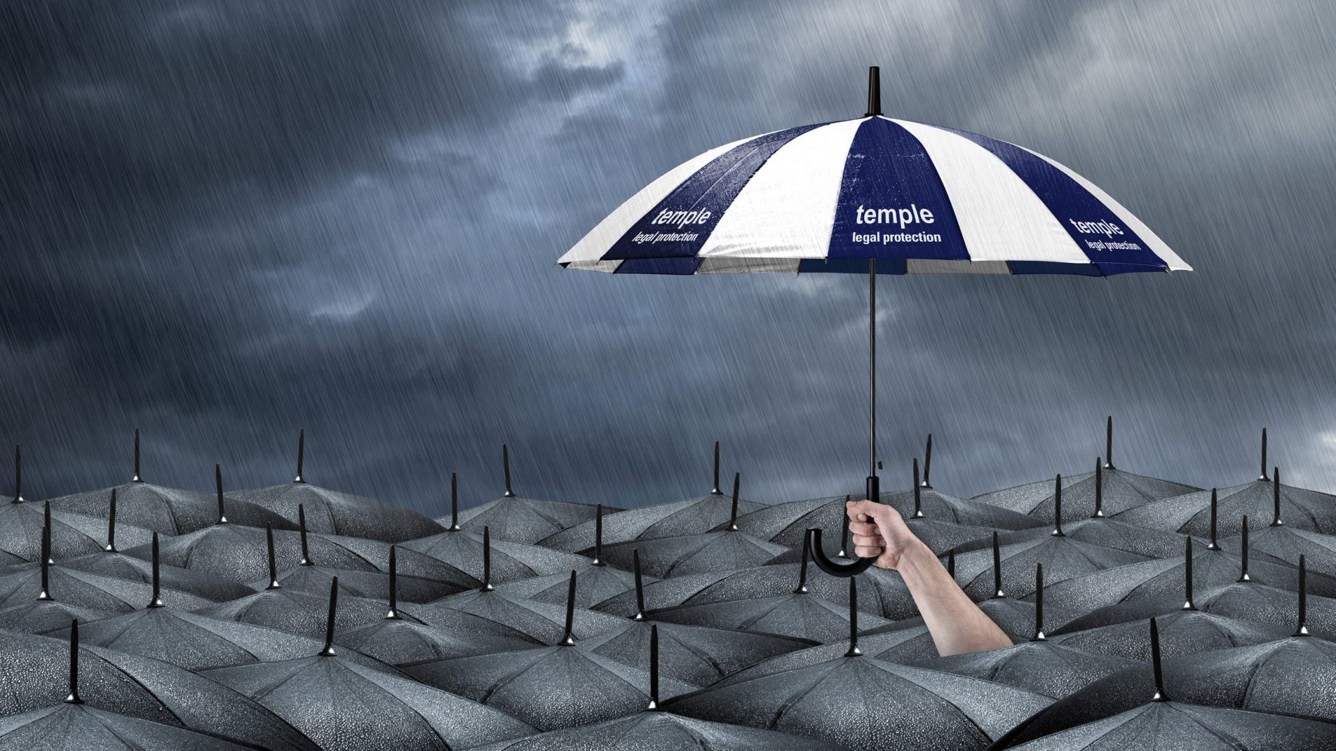 A Temple Legal Protection umbrella shielding all the other black umbrellas